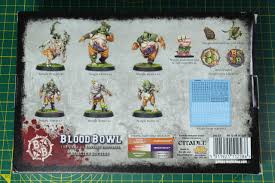 Warhammer Blood Bowl Nurgle's Rotters Nurgle Team