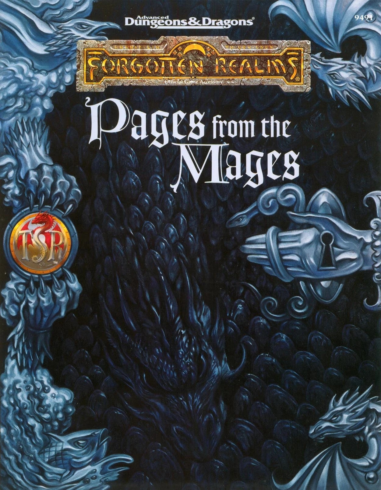 Advanced Dungeons & Dragons Forgotten Realms: Pages From Mages - The Comic Warehouse