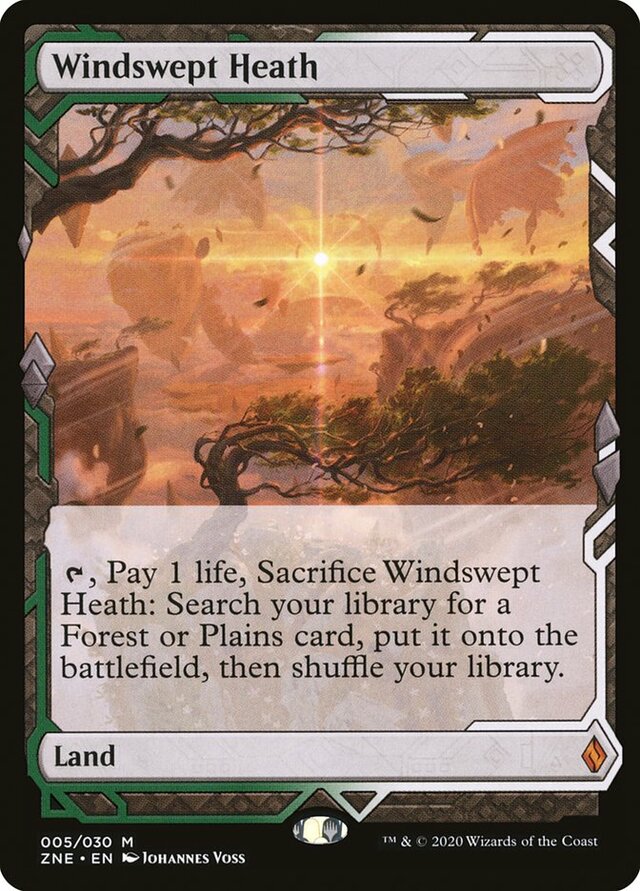 Windswept Heath  -  Zendikar Rising Expeditions - The Comic Warehouse