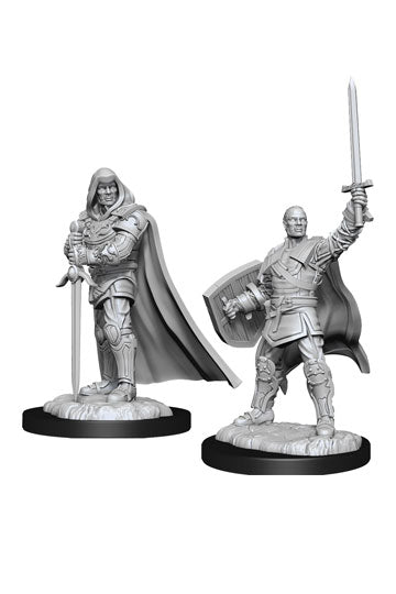 D&D Male Human Paladin Unpainted Miniatures - The Comic Warehouse