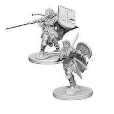 Pathfinder Battles Human Female Paladin Unpainted Miniatures - The Comic Warehouse