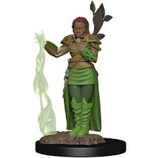 D&D Human Druid B Premium Miniatures - The Comic Warehouse