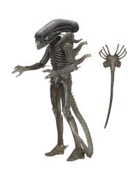 Alien: The Alien Neca Alien 40th Anniversary Figure - The Comic Warehouse