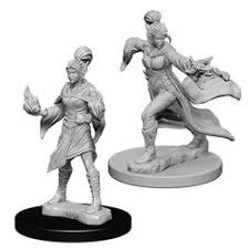 Pathfinder Battles Elf Female Sorcerer Unpainted Miniatures - The Comic Warehouse